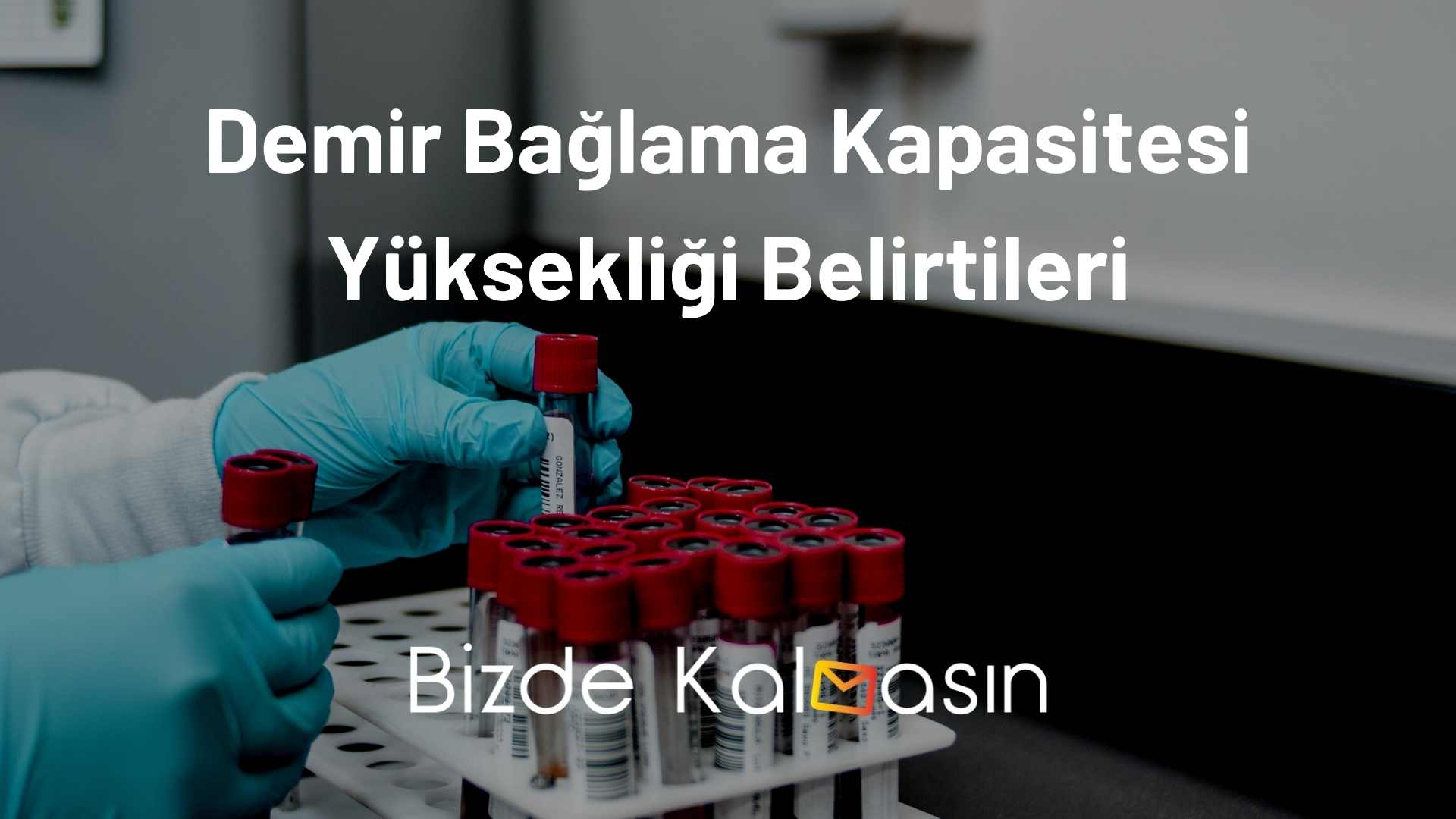 Demir Bağlama Kapasitesi Nedir? - Değerleri Nasıl Olmalı? - Bizde Kalmasın