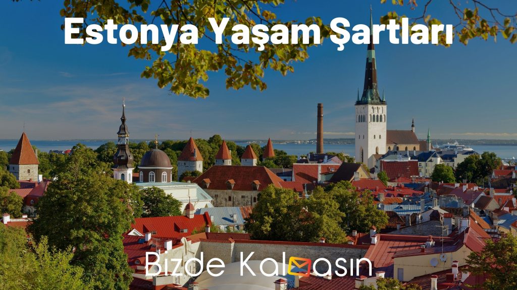 Estonya Yaşam Şartları