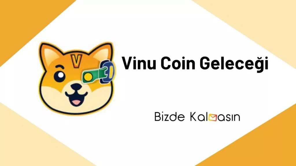 Vinu Coin Geleceği