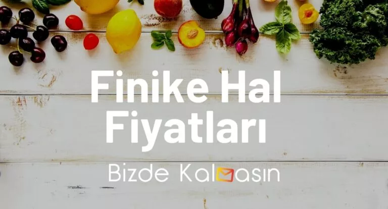 Finike Hal Fiyatları 2023 – Güncel Sahilkent Hal Fiyatları