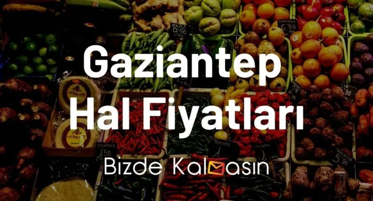 Gaziantep Hal Fiyatları 2024 – Antep Güncel Pazar Fiyatı!