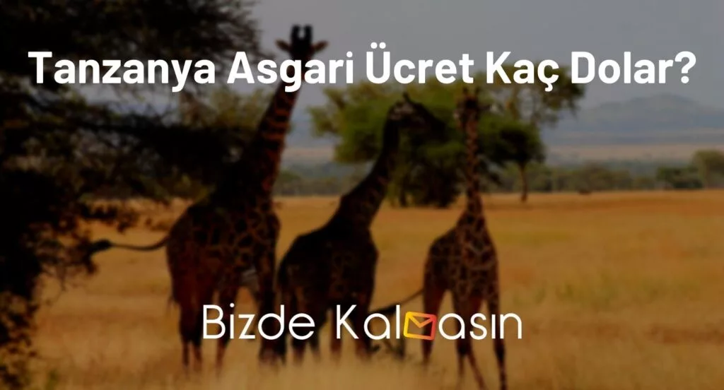 Tanzanya Asgari Ücret Kaç Dolar?