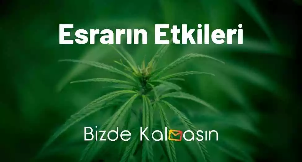 Esrarın Etkileri