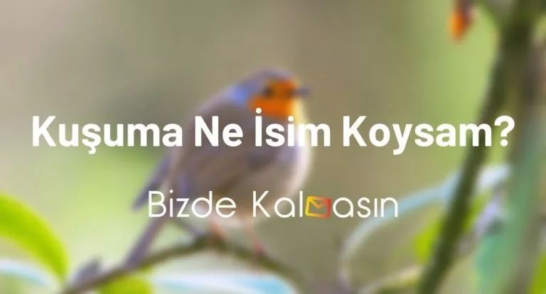 Kuşuma Ne İsim Koysam? – Muhabbet Kuşu İsimleri