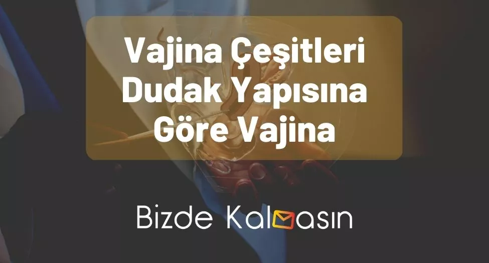 Vajina Çeşitleri Dudak Yapısına Göre Vajina