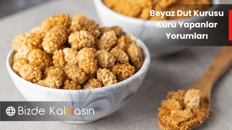 Beyaz Dut Kurusu Kürü Yapanlar Yorumları – Nasıl Tüketebilirsiniz?