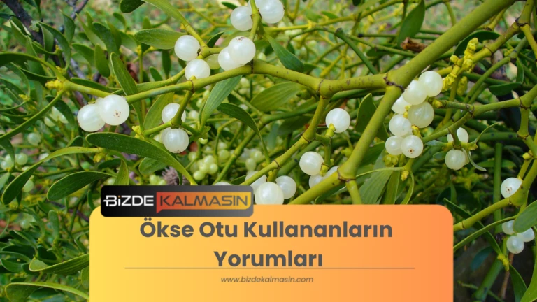 Ökse Otu Kullananların Yorumları