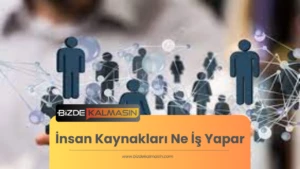 İnsan Kaynakları Ne İş Yapar