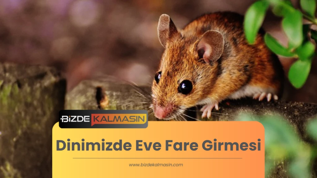 Dinimizde Eve Fare Girmesi