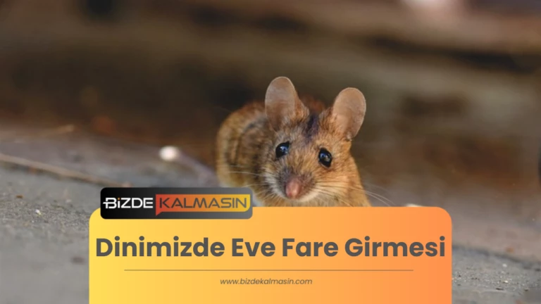 Dinimizde Eve Fare Girmesi – Fare Giren Eve Dua