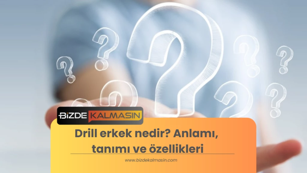 Drill erkek nedir? Anlamı, tanımı ve özellikleri